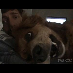 Meet your Posher, Matthew